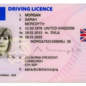 apply for drivers license online with expert assistance